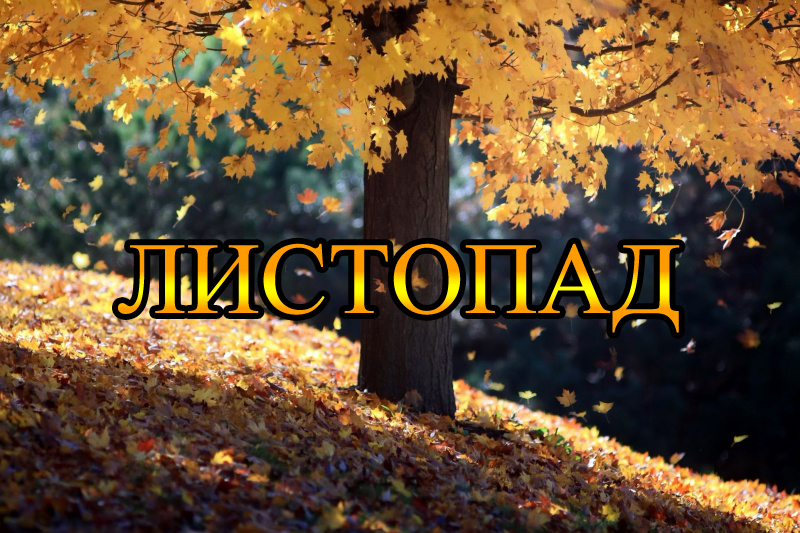 ЛИСТОПАД