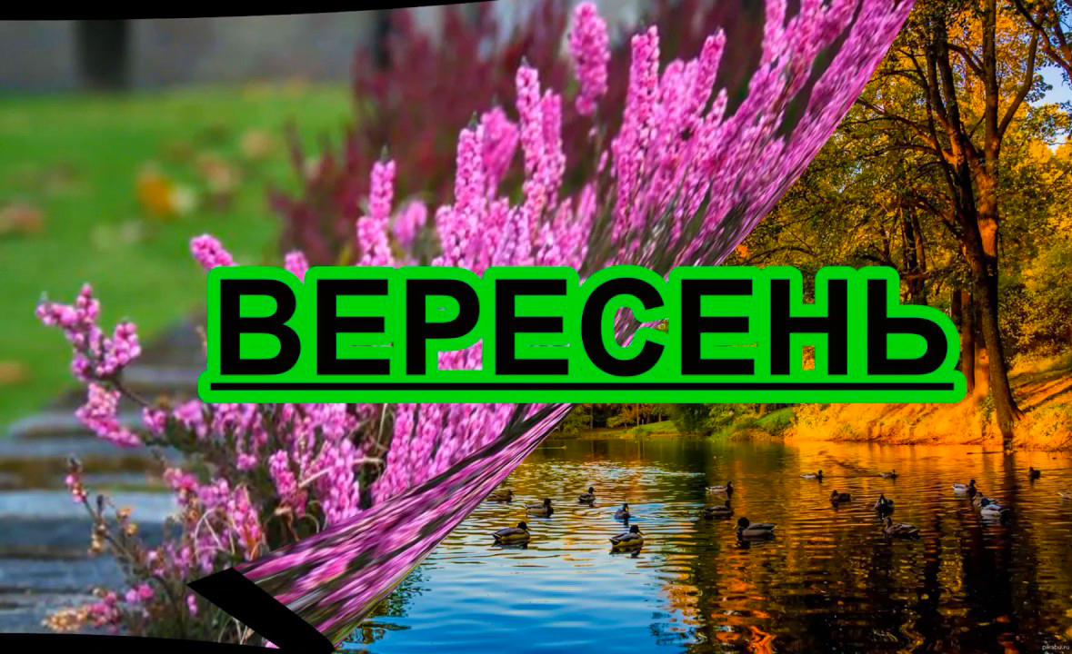 вересень